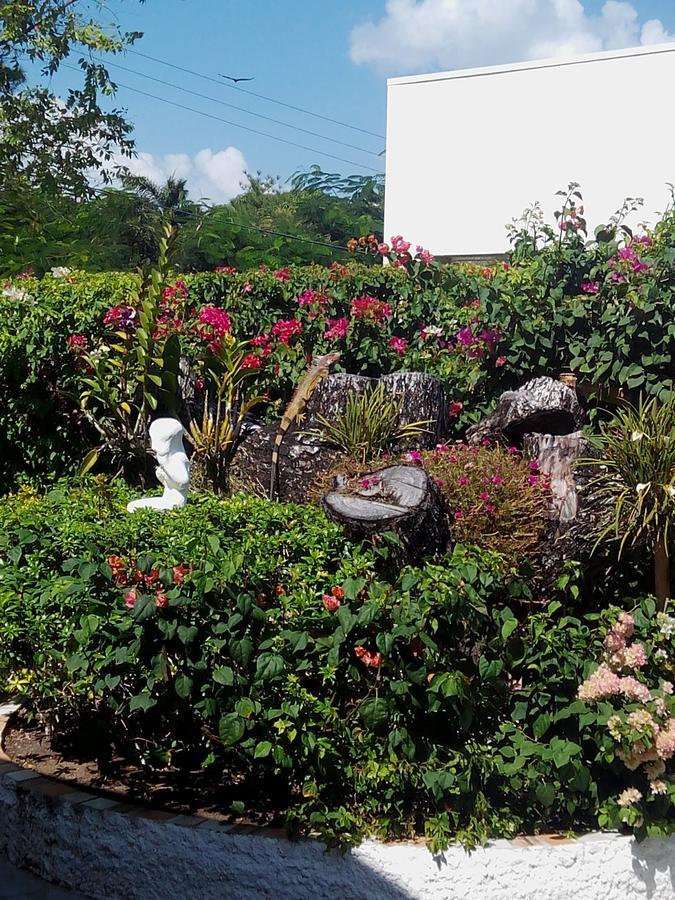 Casa De Los Suenos B&B Coronado Panama Playa Coronado Zewnętrze zdjęcie