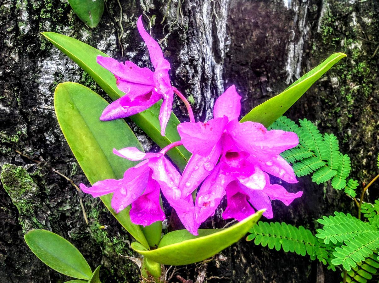 Casa De Los Suenos B&B Coronado Panama Playa Coronado Zewnętrze zdjęcie