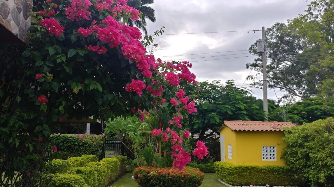 Casa De Los Suenos B&B Coronado Panama Playa Coronado Zewnętrze zdjęcie