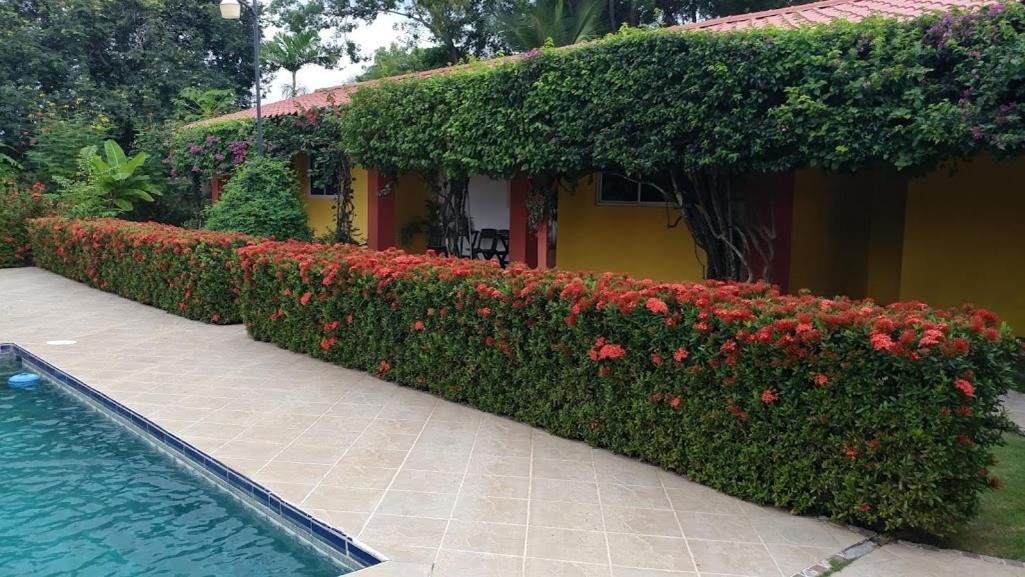 Casa De Los Suenos B&B Coronado Panama Playa Coronado Zewnętrze zdjęcie