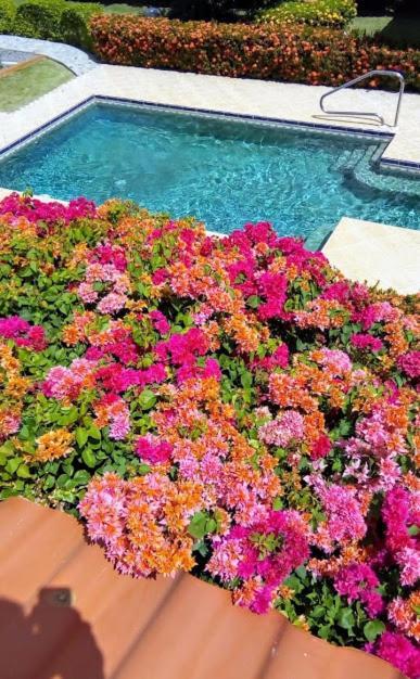 Casa De Los Suenos B&B Coronado Panama Playa Coronado Zewnętrze zdjęcie